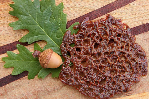 Acorn lace cookie | Reuters