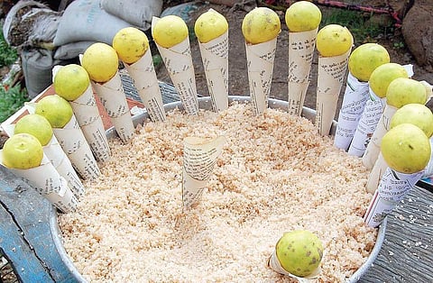 People rub lime and salt on their bodies before taking a bath at Benne Halla