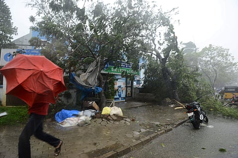 Fallen trees in Ambattur as Cyclone Vardah makes landfall. | (Arun Jetlie | EPS)