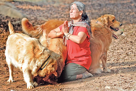 Her Dogs' World