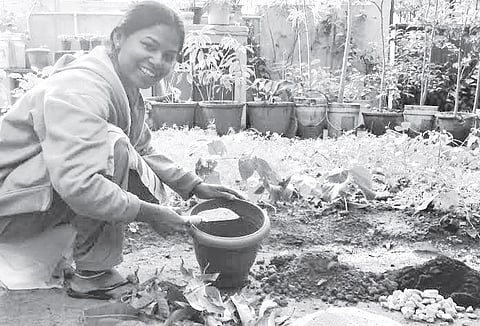 How to Fix the Pot Right