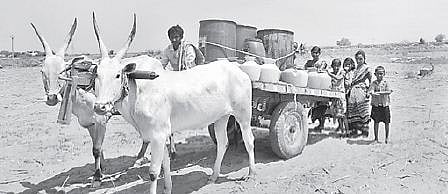Drought: Joharapuram Turns into Ghost Village