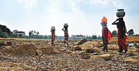 Express Study: Fourth Successive 'Drought' in 100 Years