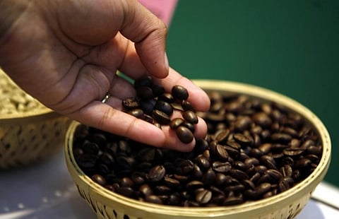 A visitor checks coffee beans at the 'International Coffee Festival 2007' in the southern Indian city of Bangalore. (Reuters)