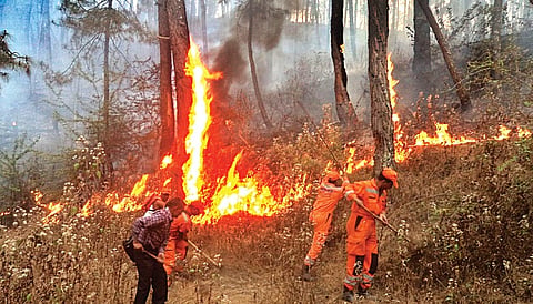 6K Personnel, 3 IAF Helicopters Fight Uttarakhand  Forest Fire