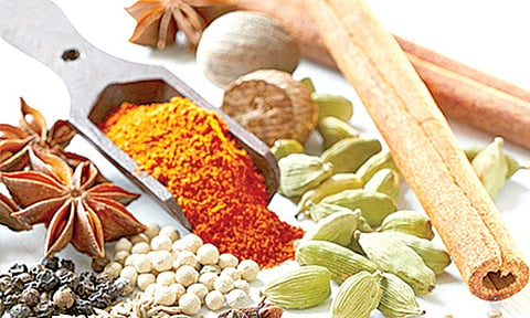 Spices Board pushes exporters to use GI tags 