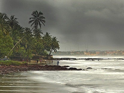 Goa in rains, a green haven called champakali and an art encounter