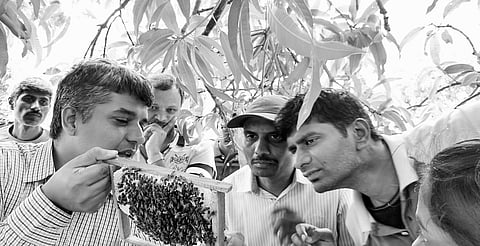 Bee for Bengaluru