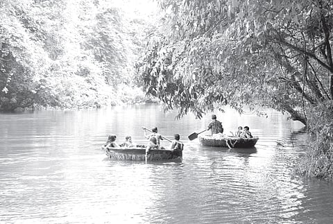 Here, tourism blooms in trees and banks on a river