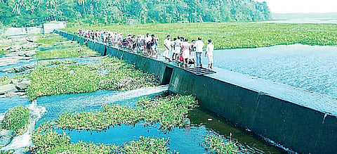 The renovated Sathramkadavu check dam across the Bharathapuzha. (Photo | EPS)