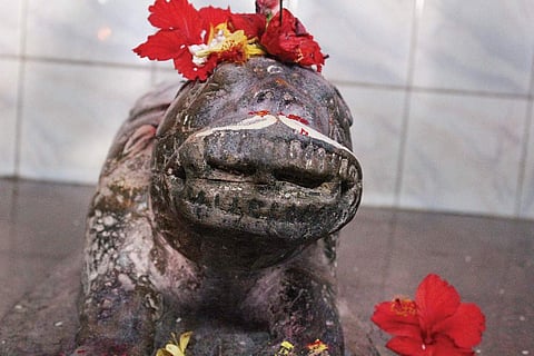 Locals believe the deity protects them from tiger attacks | amit s upadhye