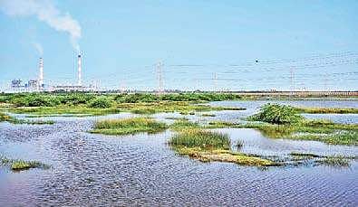 Marooned in knee-deep water, villages blame industries