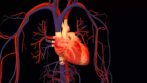 Image used for representational purpose only