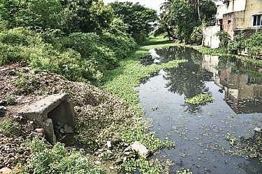 The canal connected to Adambakkam lake at Jeevan Nagar | P Jawahar