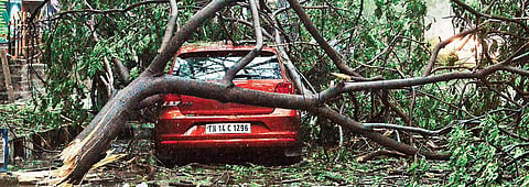 Cyclone Vardah brought the city to a virtual standstill in December last year