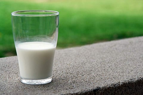 About 40 to 50 per cent of the total production of milk, fruits and vegetables go wasted in India.