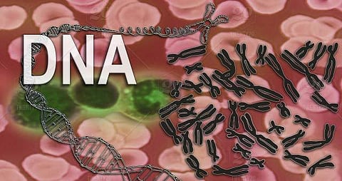 The experts also said that the law machinery world over is increasingly relying on DNA forensics to solve crime, whereas India is lagging behind in adoption.