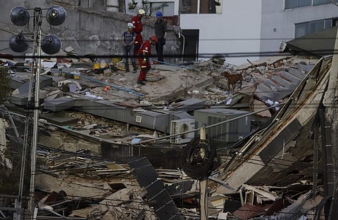 A powerful earthquake shook central Mexico, collapsing buildings in plumes of dust and killing at least 360 people. Thousands fled into the streets in panic, and many stayed to help rescue those trapped. In pic: A rescue dog helps workers look for people 