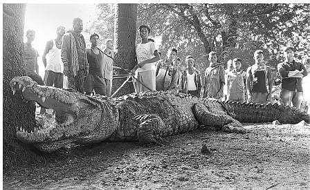 The crocodile that entered a house in Munta village I Express