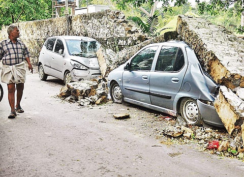 Two cars damaged  as wall of Semmozhi Poonga collapses