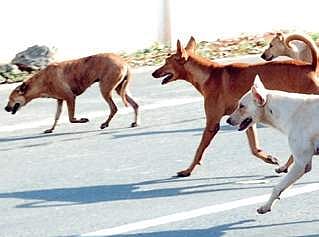 Image used for representational purpose