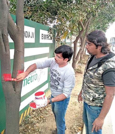 Tree Panel members and volunteers have joined hands to save 115 trees on  Hope Farm Road. They rue indifference by local residents | express