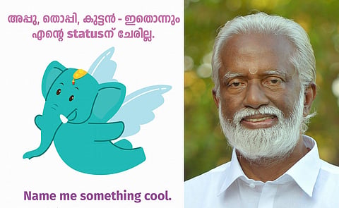 Kochi Metro asks netizens to name its Mascot, Malayalees call it 'Kummanana'.