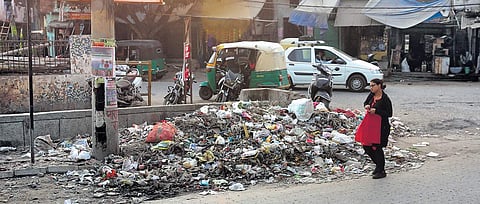 Despite the Central government's constant push to the Swacch Bharat Abhiyan, garbage can be seen dumped on roads and in parks in all three municipal zones in the national capital| Shekhar Yadav
