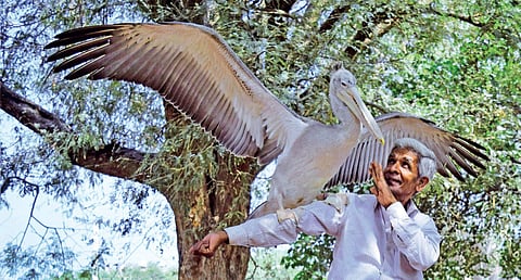  Farmer Linge Gowda;  Photo: G Chidananda