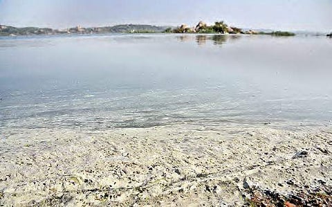 Polluted water in Gandigudem Lake due to pharmaceutical effluents flowing from the Industrial Development Area, Kazipally.