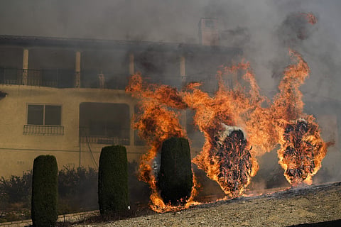 Flames rise near a home as a wildfire burns in Ventura, California.  (Photo | AP)