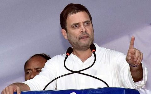 Congress Vice President Rahul Gandhi | PTI