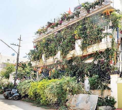 Benjaminivas grows more than 200 varieties of plants in his two-storeyed house in Mysuru and has set up an aviary with over 70 birds; (r