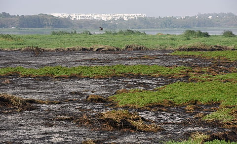 Belandur Lake Followup  in Bengaluru on Friday  which caught fire .(Vinod Kumar.T |EPS)