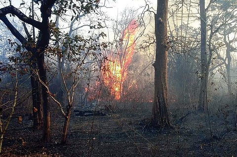 A raging forest fire at Belanduru village of Sagar taluk in Shivamogga district on Saturday