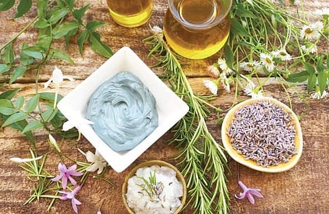 Herbs the magical, healthy potion