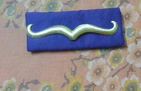 KCR to present gold moustache to Lord Veerabhadra today