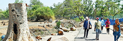 Vanalur zoo. (EPS | Martin Louis)