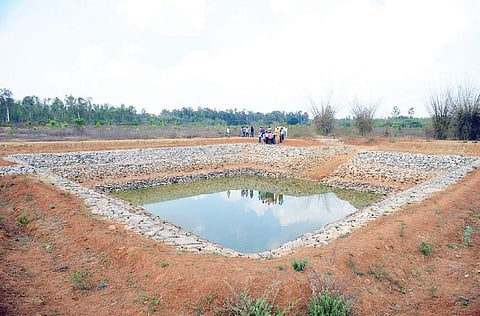 The pool at the centre of the lakebed will improve its water holding capacity. | (Nagesh Polali | EPS)