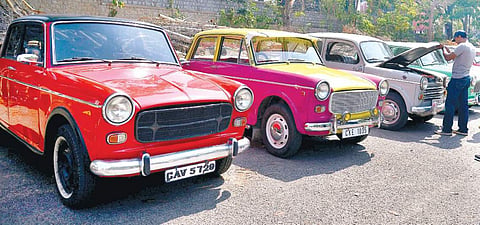 Fiat 1100s lined up at a club meeting in Lal Bagh  Pushkar V