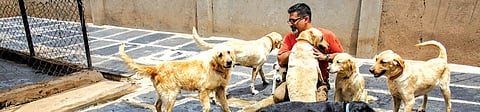 Rakesh Shukla with the rescued dogs