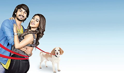 Romance amidst dognapping and kidney-stealing 