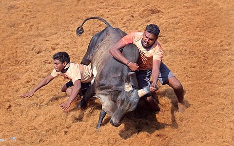 Image used for representational purpose only