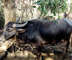 File photo for representational purpose