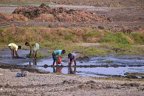 Water in Agara lake has been pumped out and desilting is being carried out as part of rejuvenation efforts. | (Jithendra M | EPS)
