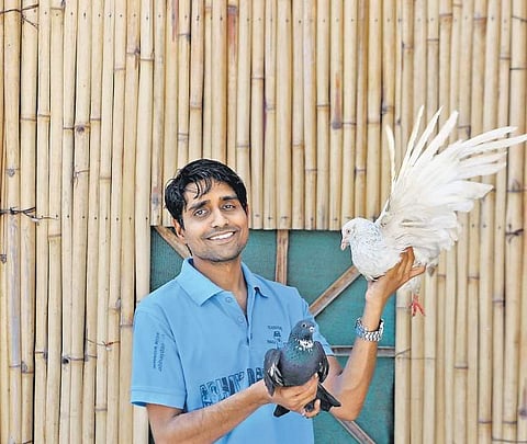 shekhar yadav