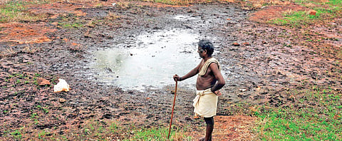 Pallams are natural depressions that occur on laterite hillocks. A mid-sized pallam can be as large as an acre.
