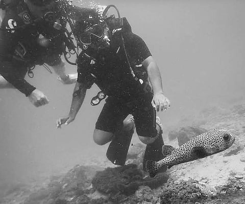 Scuba diving in ‘Andaman of Karnataka’ is now official