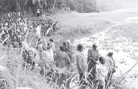 Taming the river wild
