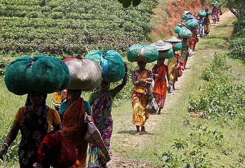Image used for representational purpose.  (Reuters)